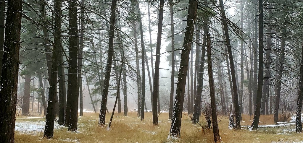 Step Two : In with the&nbsp;New