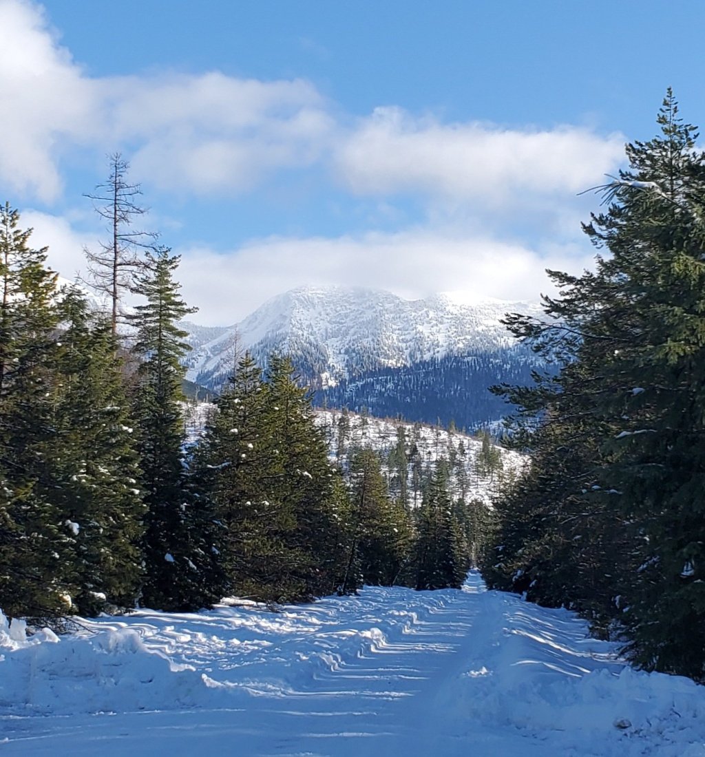 Charity: Most Precious&nbsp;Resource…